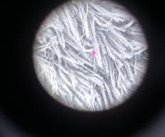 Приціл коліматорний vector optics бу